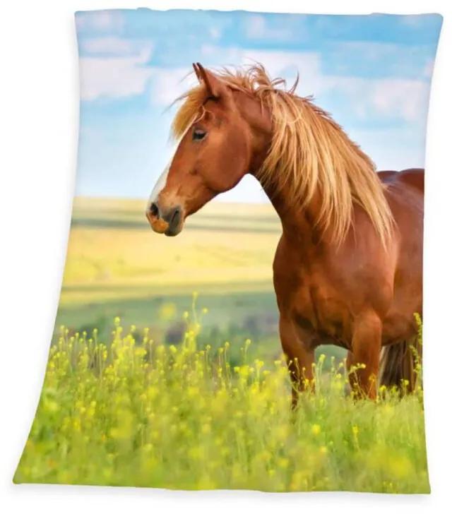 Horse plaid 100% polyester 130x160 cm Multi