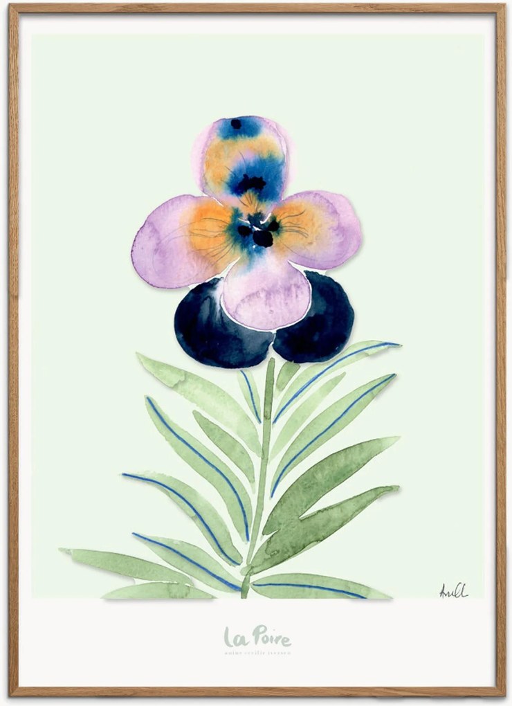 Ingelijste digitale print La Poire - Pansy I