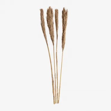 Pack Van 4 Decoratieve Droge Takken Pampy Bruin - Tarwe - Sklum