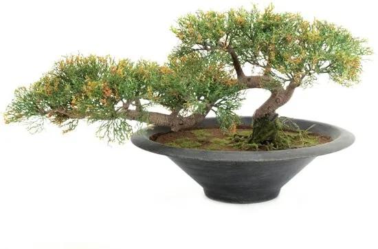Bonsai kunstplant in pot - Potloodceder - kunstplant in pot - 40 cm