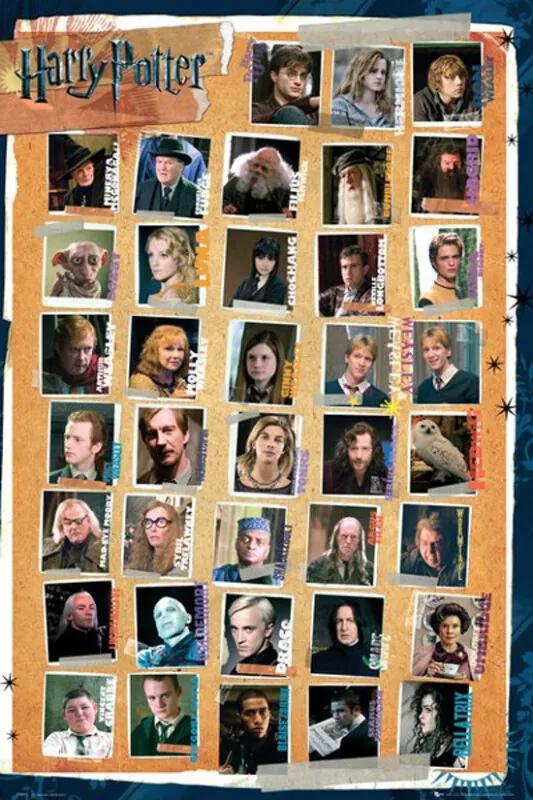 Poster Harry Potter Characters 61cm x 91.5cm