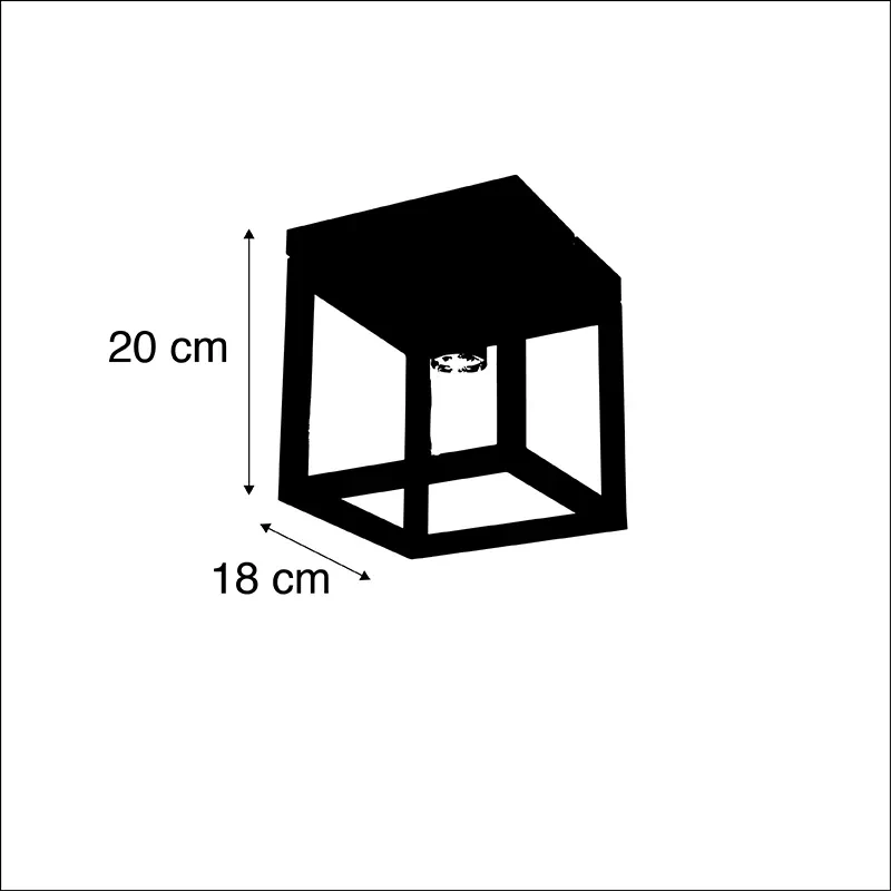 Industriële plafondlamp zwart staal - Cage Industriele / Industrie / Industrial, Design, Modern E27 vierkant Binnenverlichting Lamp