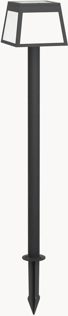 Solar LED priklamp Altilia met bewegingssensor