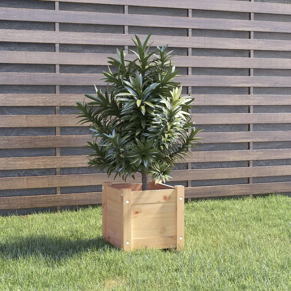 vidaXL Plantenbak 31x31x31 cm massief grenenhout