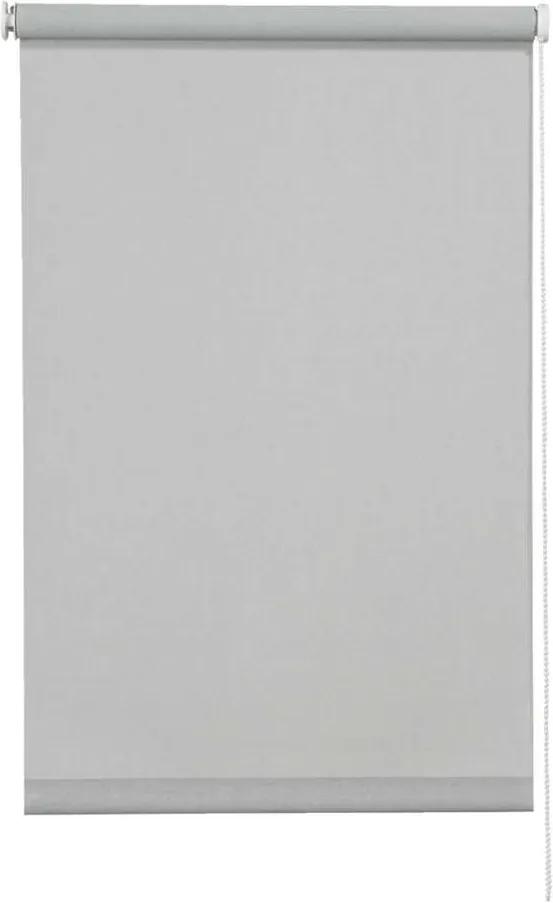 Rolgordijn lichtdoorlatend screenstof - grijs - 60x190 cm - Leen Bakker