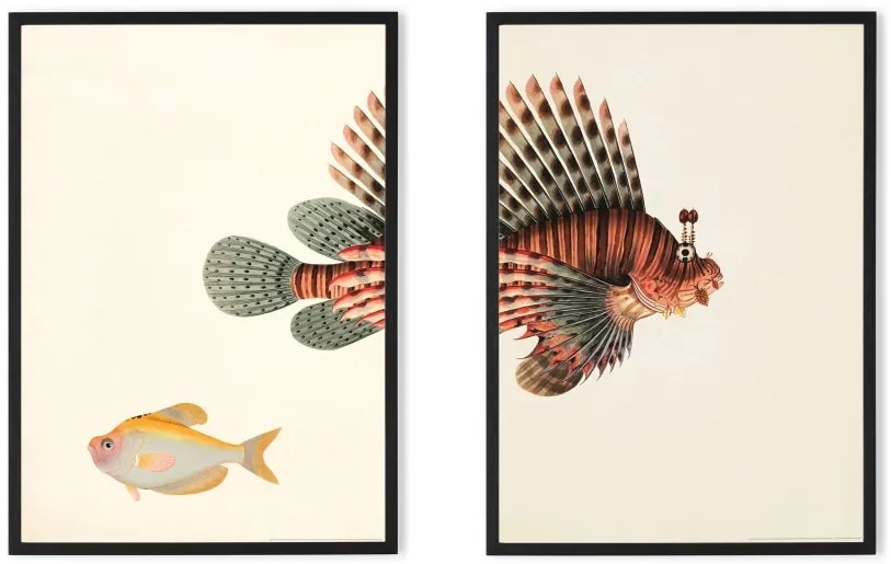 Vintage Fish illustratie van het Natural History Museum set van 2 ingelijste prints A3, meerkleurig