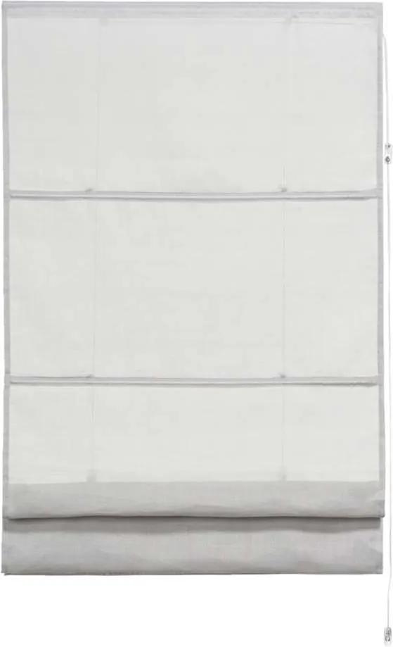 Vouwgordijn transparant - lichtgrijs - 60x180 cm - Leen Bakker