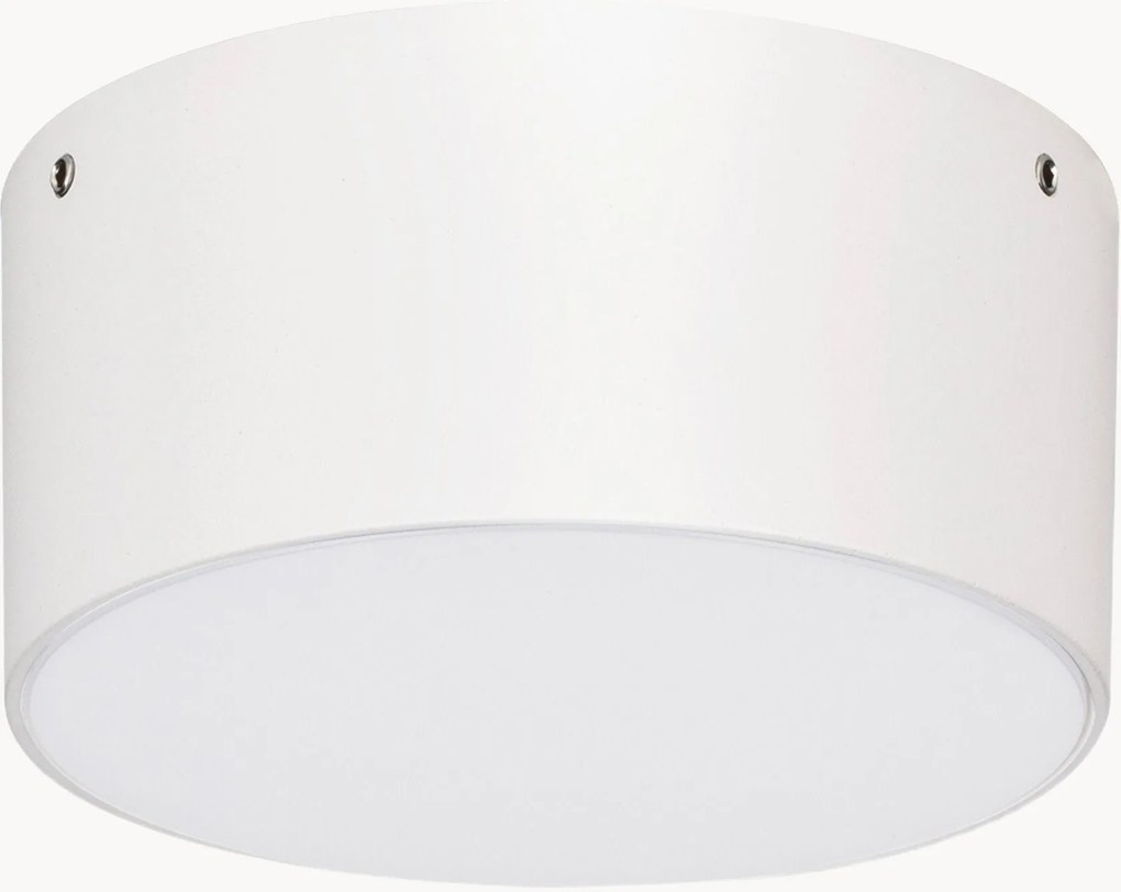 Outdoor LED plafondlamp Judi