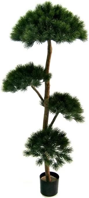Pinus Deluxe Layer x4 180 cm