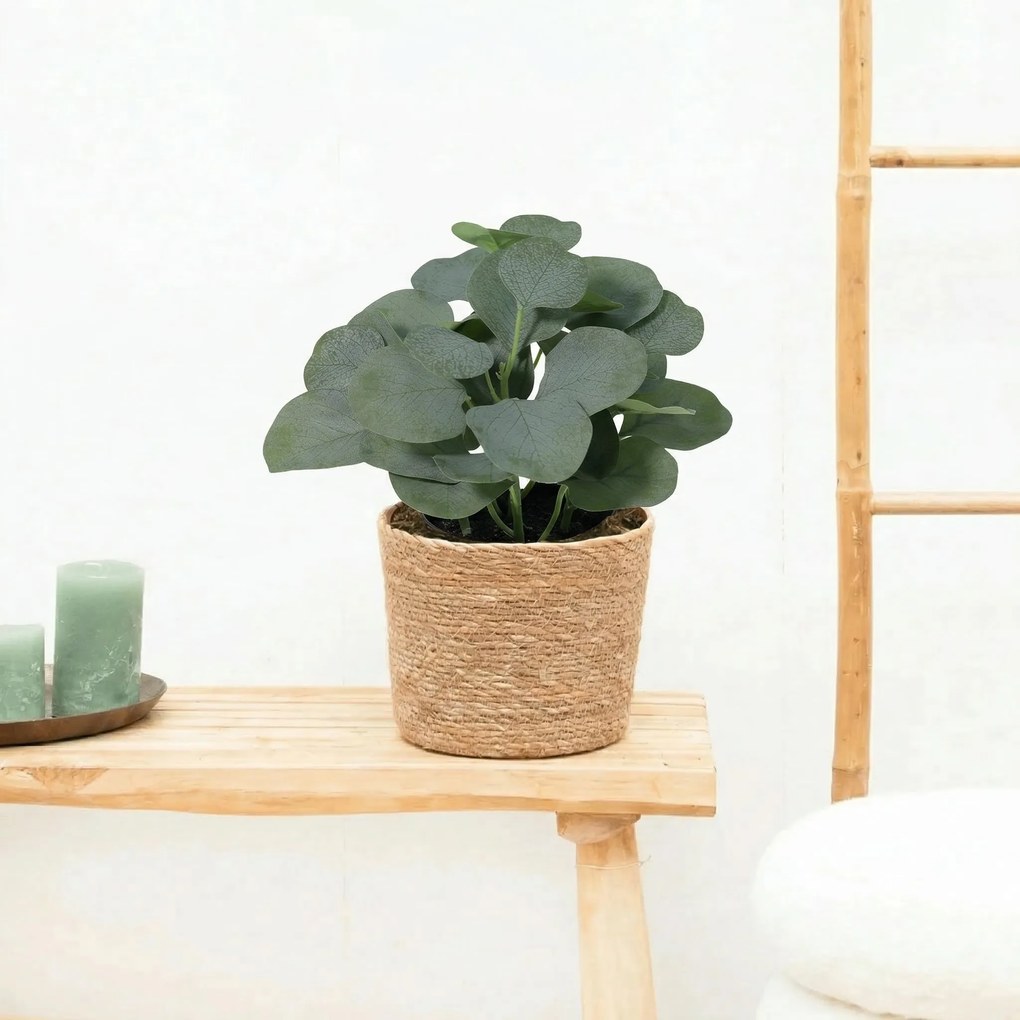 Kunst Eucalyptus - 21cm
