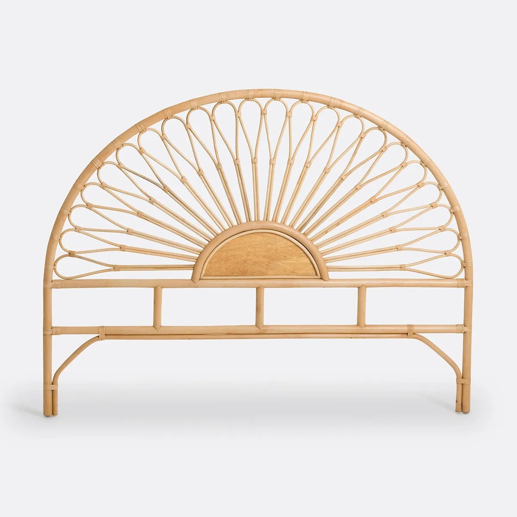 Rotan hoofdbord, TIO