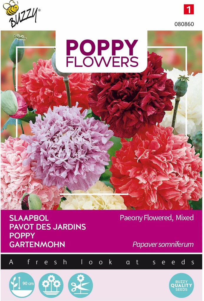Buzzy seeds bloemzaden - Poppies of the World - Papaver