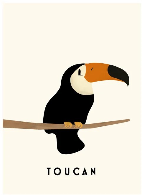 Ilustratie Tucan, Erik Wintzell