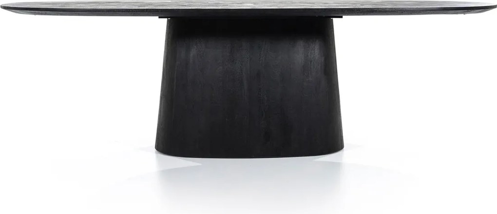 Ovale Eettafel Zwart 250 Cm - 250 X 110cm.
