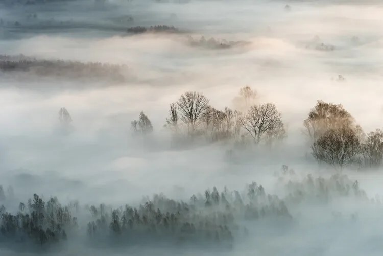 Foto Winter fog, Marco Galimberti