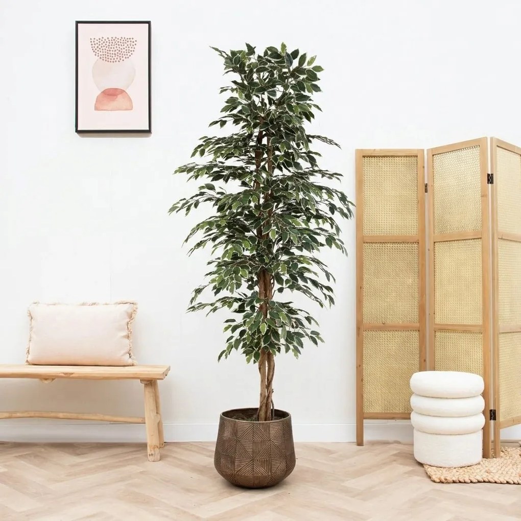 Kunst Ficus benjamina variegata - 205cm