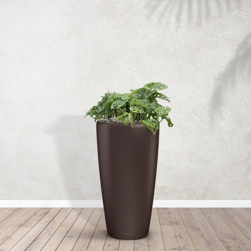 Combideal - Monstera Monkey Leaf inclusief zelfwaterende pot Angel Espresso M - 90cm