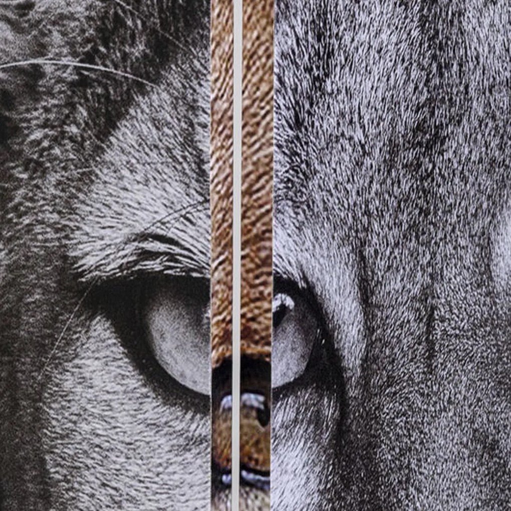 Kare Design King Lion Vs Cat Girl Kamerscherm Dubbelzijdig Schilderij
