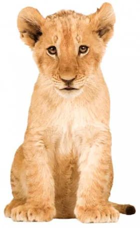 Muursticker Safari Friends leeuw (70x115 cm)