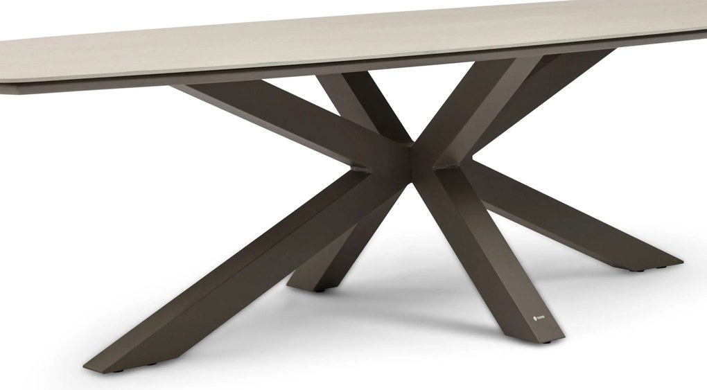 Dining Tuintafel rechthoekig 300x 120 cm Taupe Voyage
