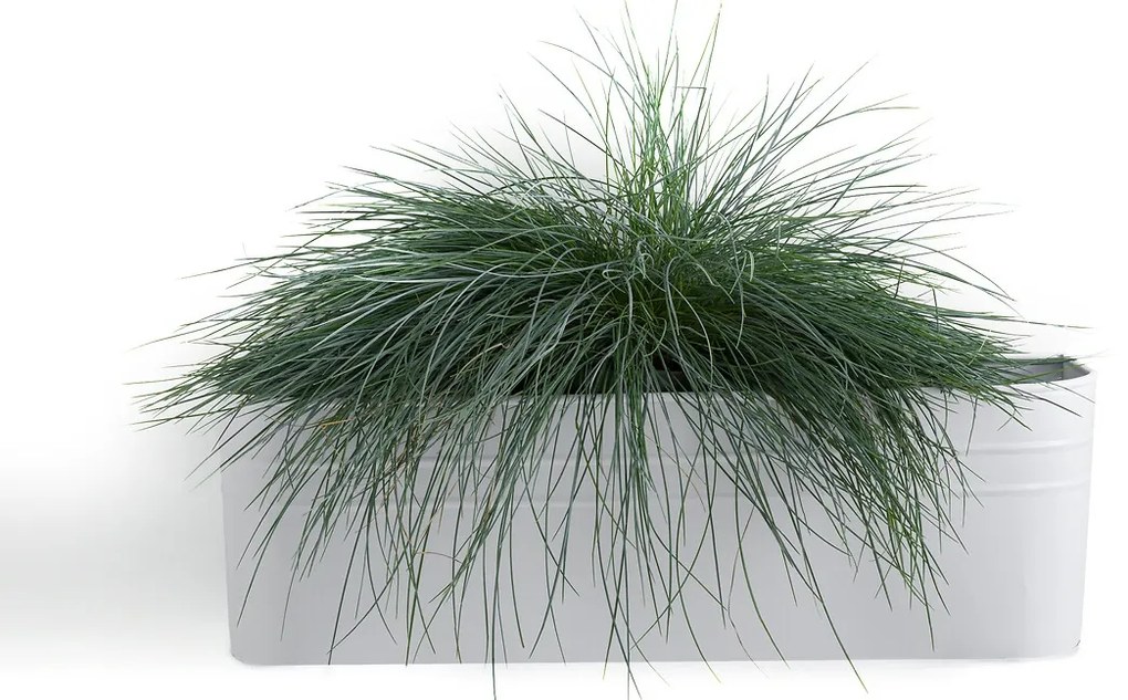 Bloempot/ plantenbak om aan de muur te hangen, in metaal, Anaïa
