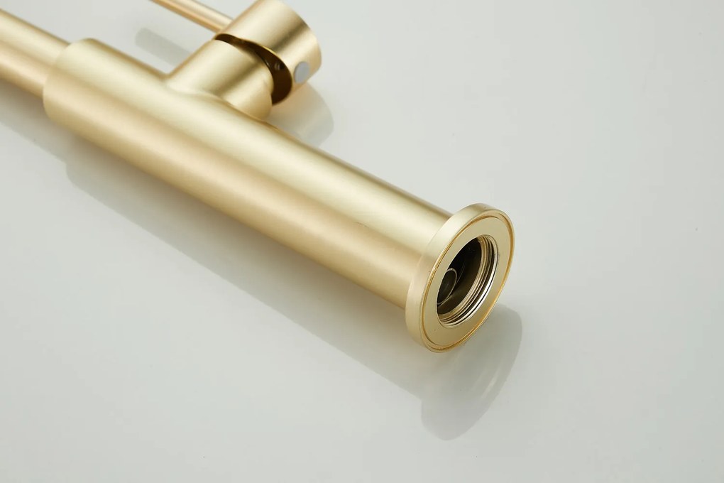 Saniclear Highriser hoge wastafelkraan met gebogen uitloop geborsteld messing - mat goud