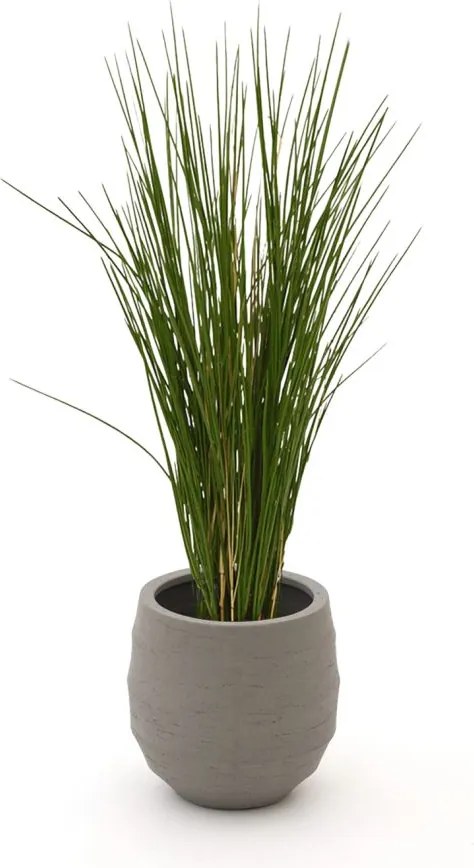 Kunstplant Designplants Luca Lifestyle | Groen Kunststof  | Inclusief bloempot | Geschikt voor buiten en binnen | Kees Smit Tuinmeubelen