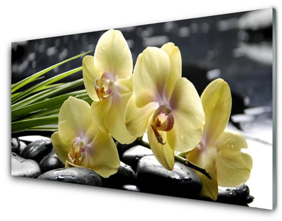 Glazen schilderij Bloemen plant nature 100x50 cm