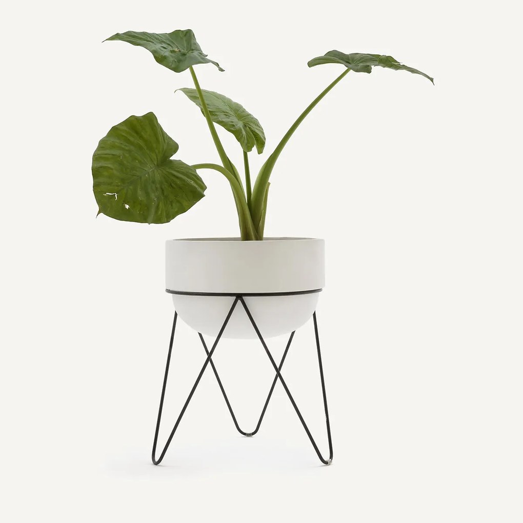 Bloempot H54 cm, Plantae