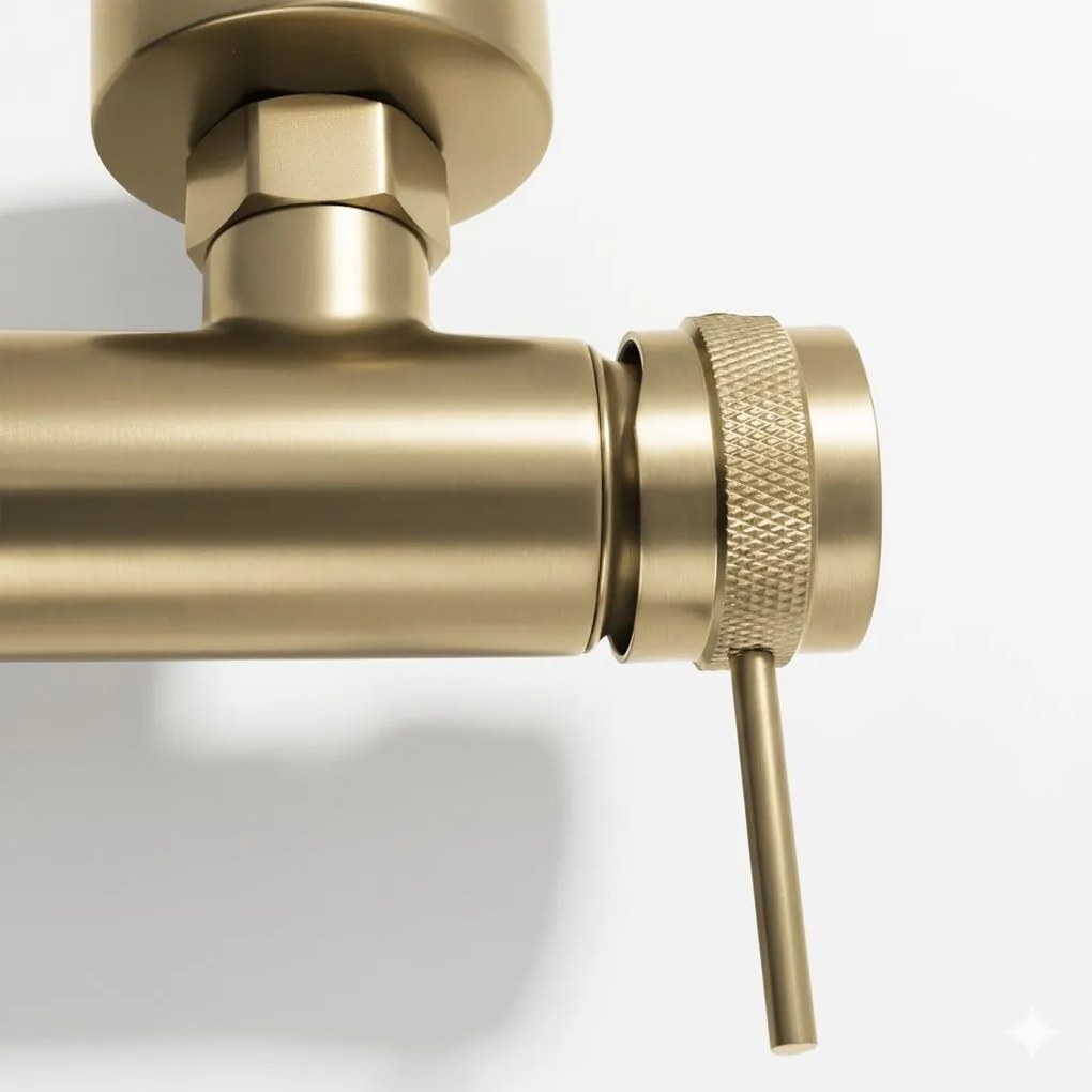 Badmengkraan Rea Lungo Grip Brush Gold