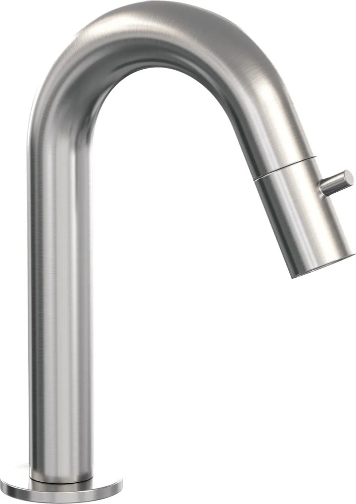 Brauer Brushed Edition opbouw fonteinkraan met gebogen uitloop RVS geborsteld PVD