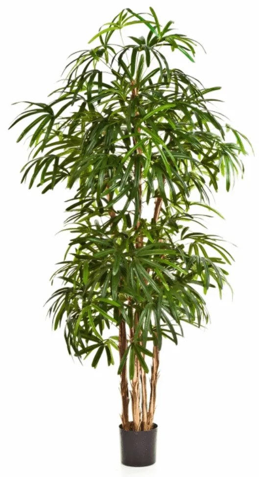 Rhapis kunst palm - 230 cm
