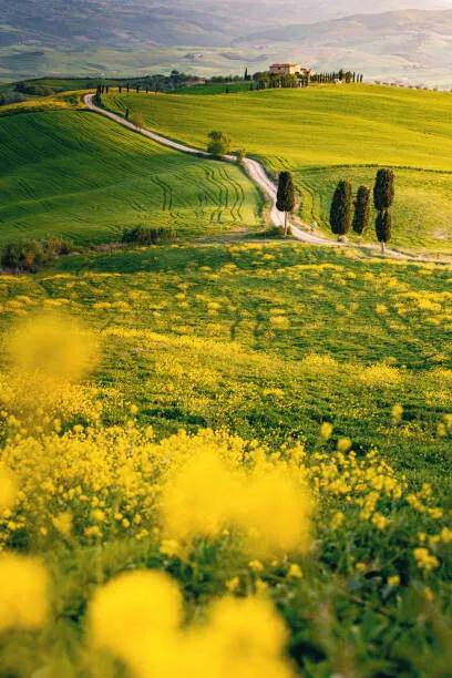 Foto Tuscany, springtime in the afternoon. Path,, Francesco Riccardo Iacomino, (26.7 x 40 cm)