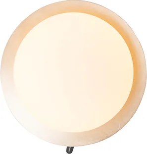 Wandlamp staal IP44 met schakelaar - Cederic