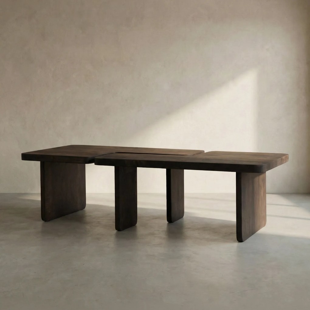 Salontafel Set Donker Mangohout - 120 X 50cm.