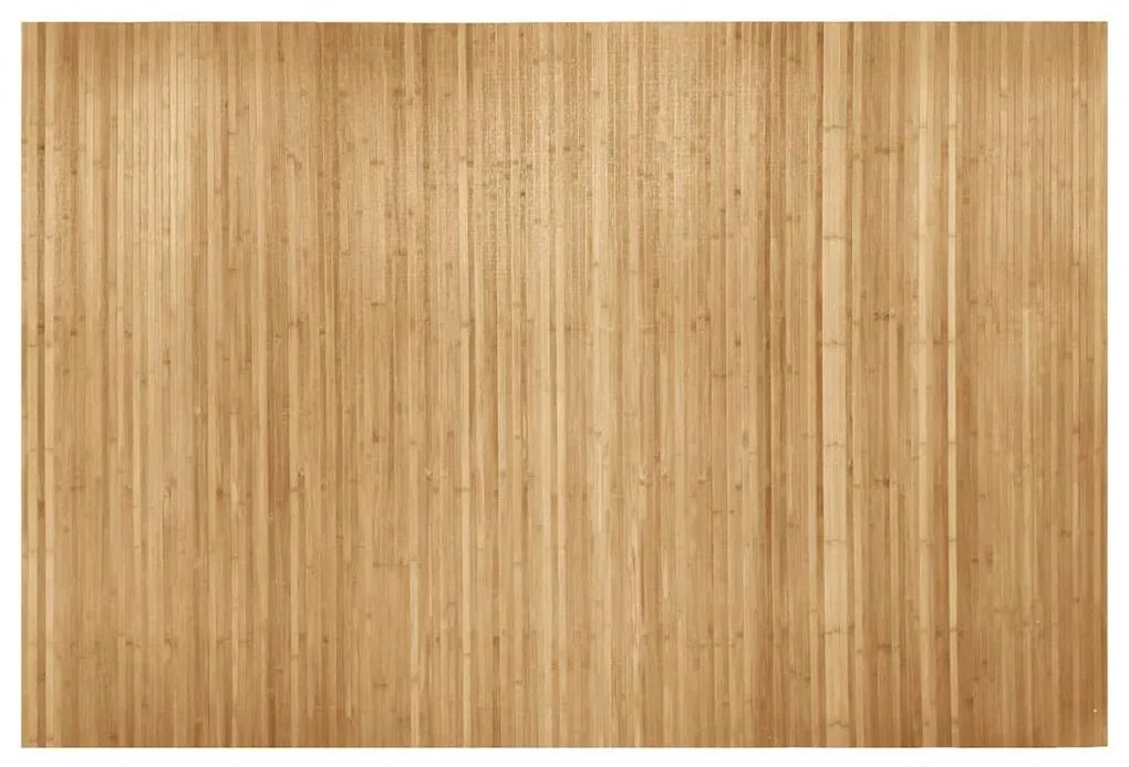 vidaXL Kamerscherm 250x165 cm bamboe natuurlijk