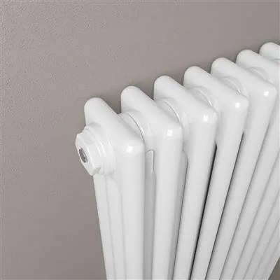 Eastbrook Rivassa 3 koloms radiator 100x60cm staal 1794W wit glans