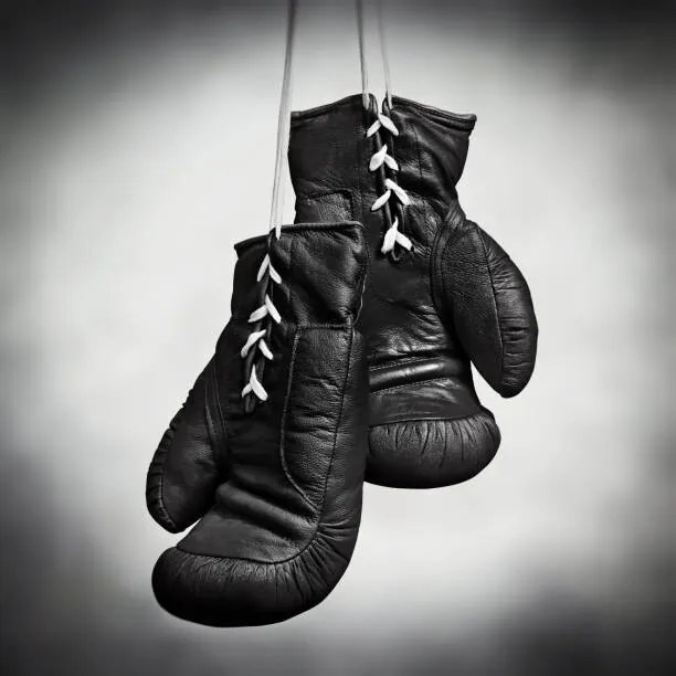 Foto Laced boxing gloves, SEAN GLADWELL