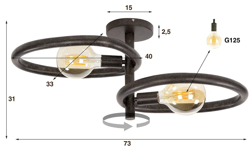 Plafondlamp 2-lichts Zwart