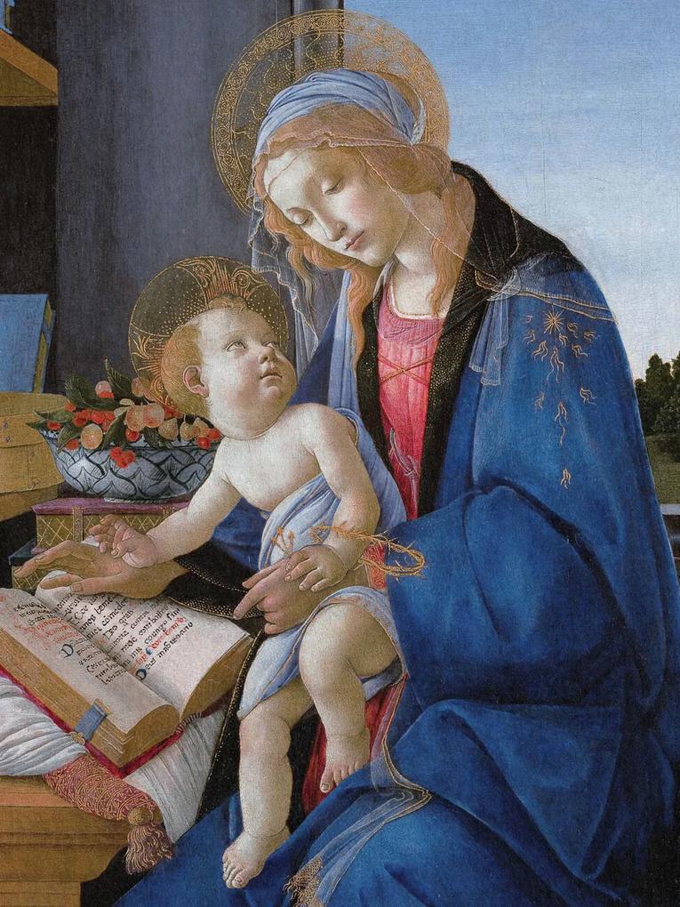 Kunstdruk The Madonna & The Book - Sandro Botticelli, (30 x 40 cm)