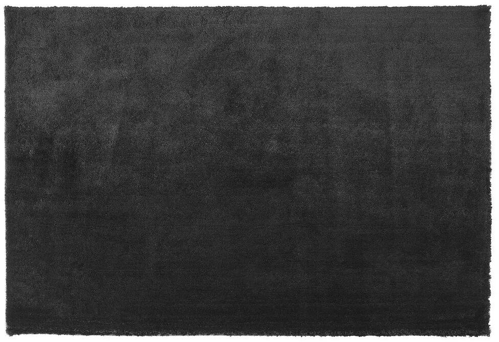Vloerkleed zwart 200 x 300 cm EVREN Beliani