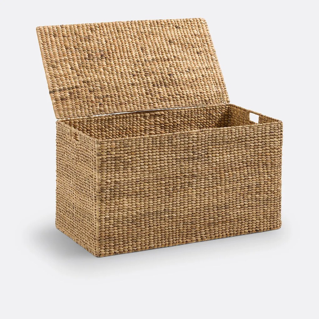 Koffer van waterhyacint, Semra