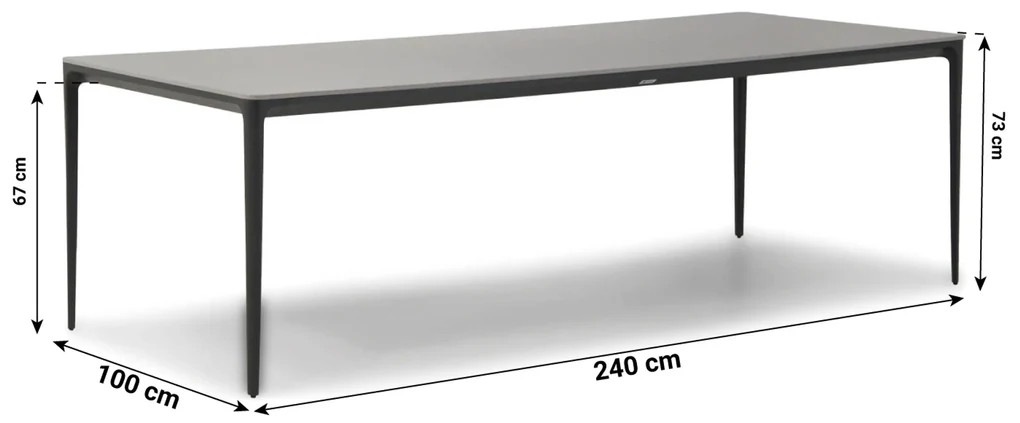 Dining Tuintafel rechthoekig 240 x 100 cm Aluminium Grijs Gianna