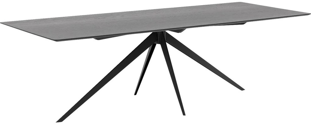 Goossens Excellent Eettafel Uniek, Rechthoekig 260 x 100 cm