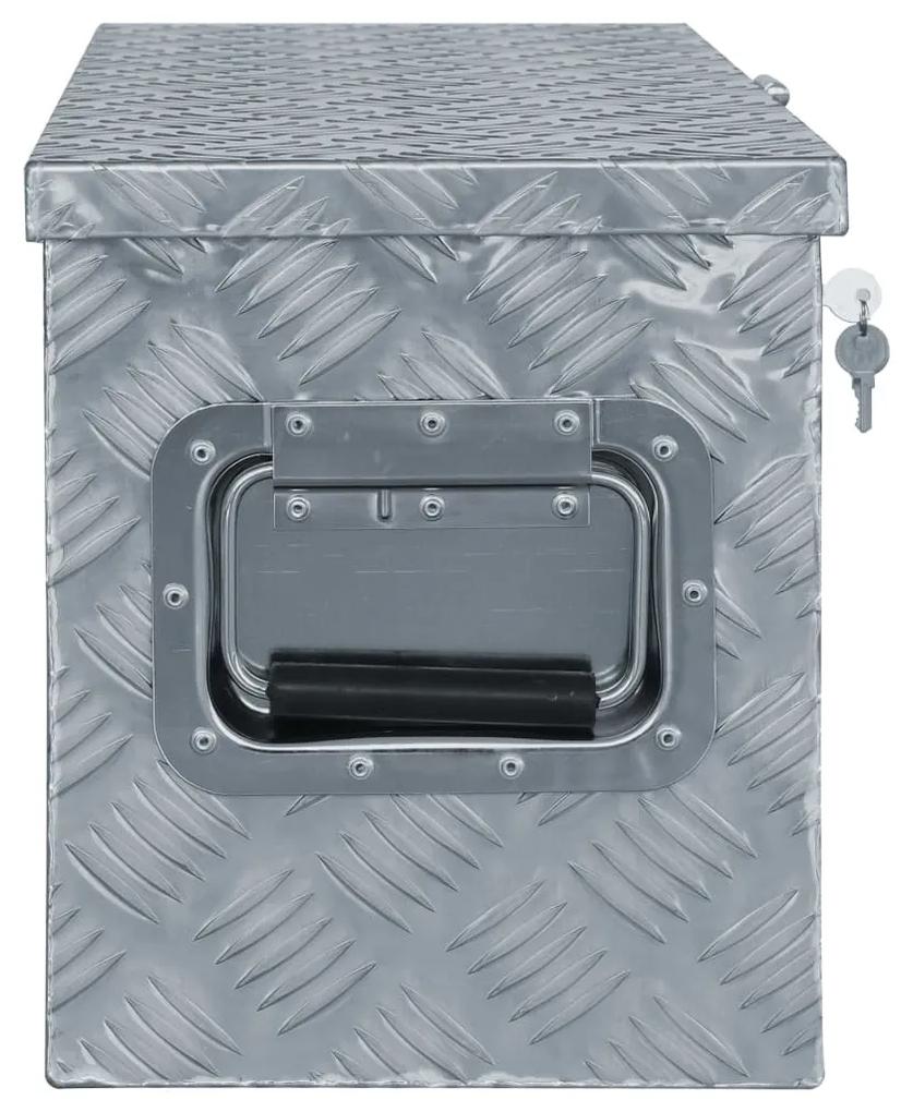 vidaXL Aluminium kist 61,5x26,5x30 cm zilverkleurig