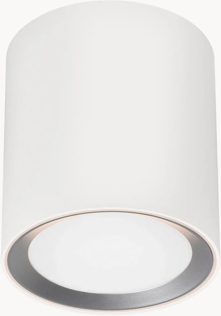 Dimbare LED plafondspot Landon