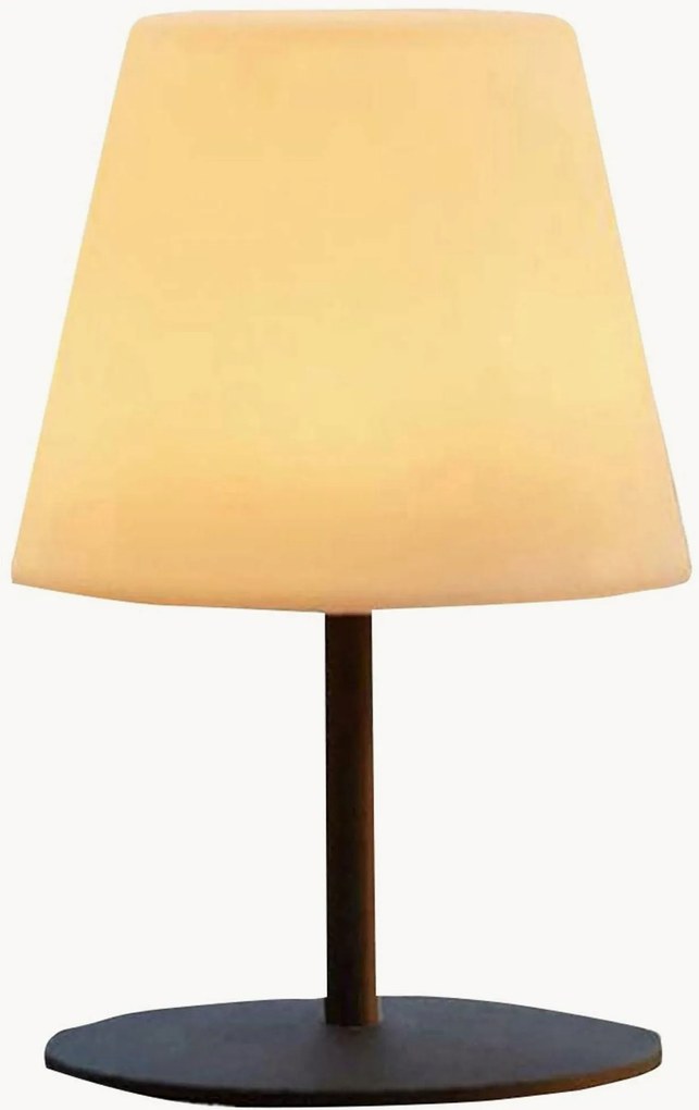 In- & outdoor LED-tafellamp Twins met accu