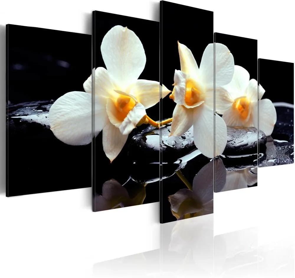 Schilderij - Orchideeën met oranje accent, 5luik