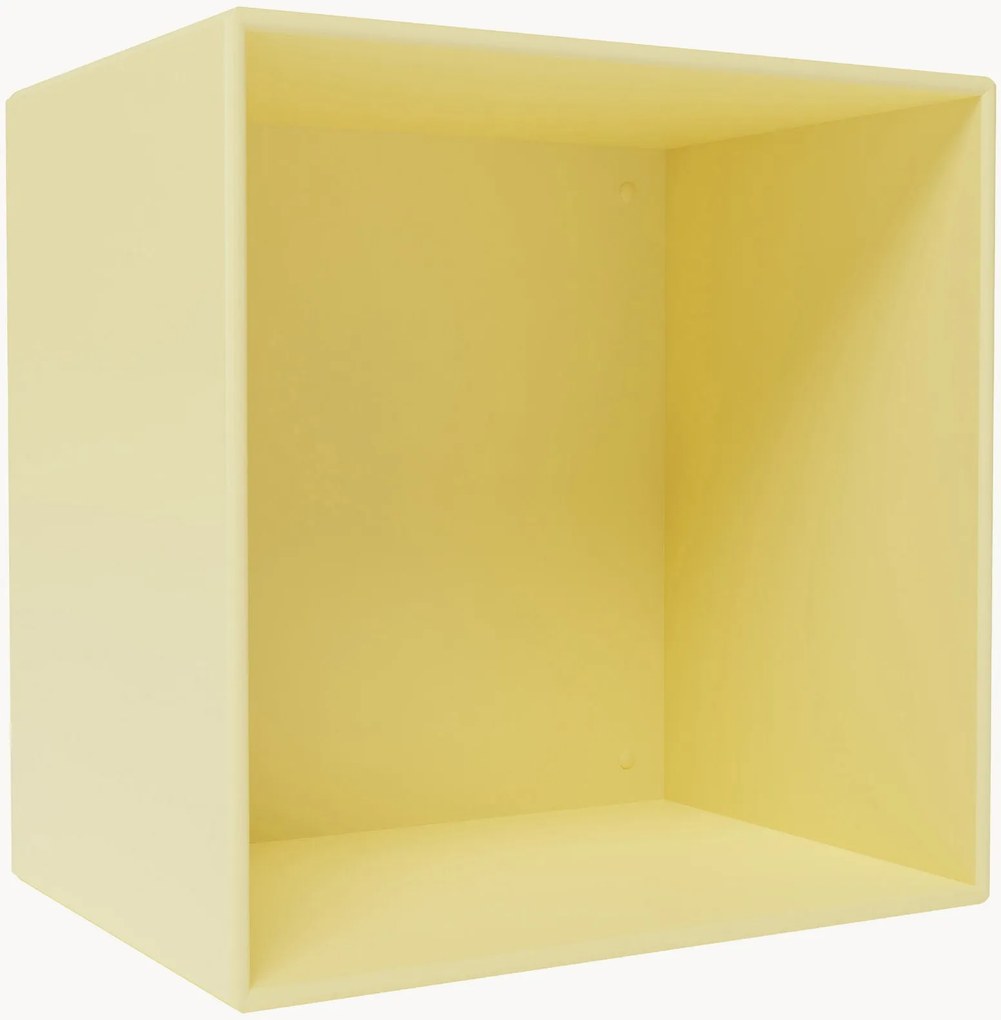 Module Mini 1001