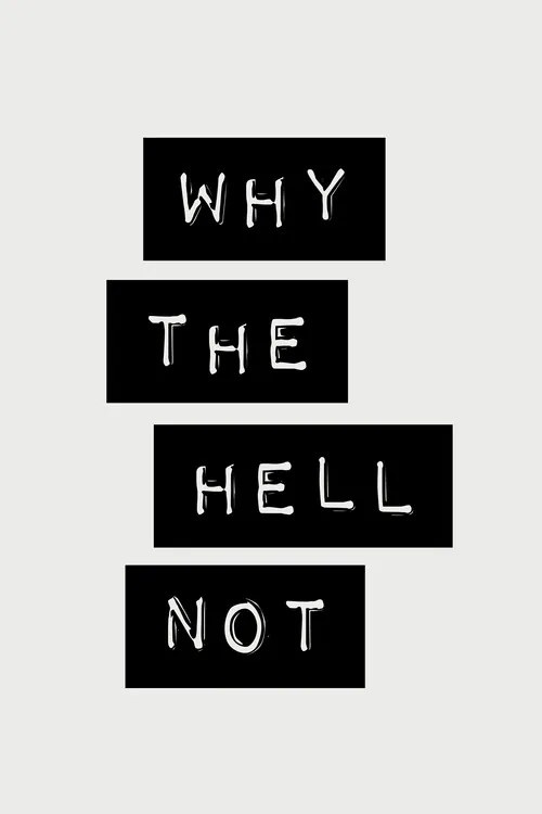 Ilustratie Why the Hell Not, Brett Wilson